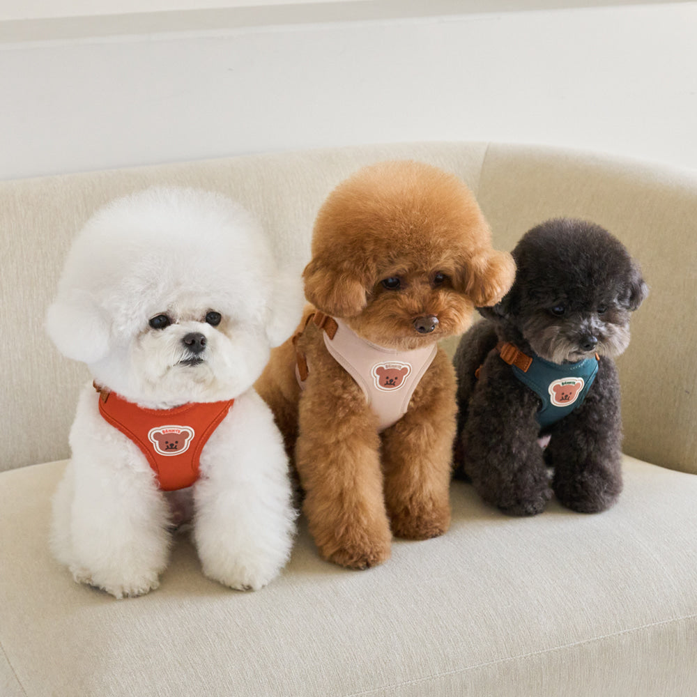 ONE TOUCH HARNESS (ORANGE)