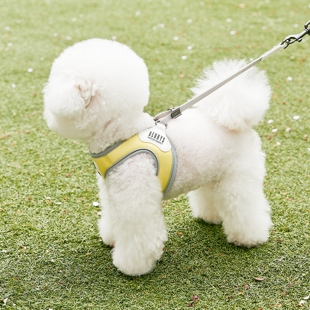 BASIC HARNESS (YELLOW)