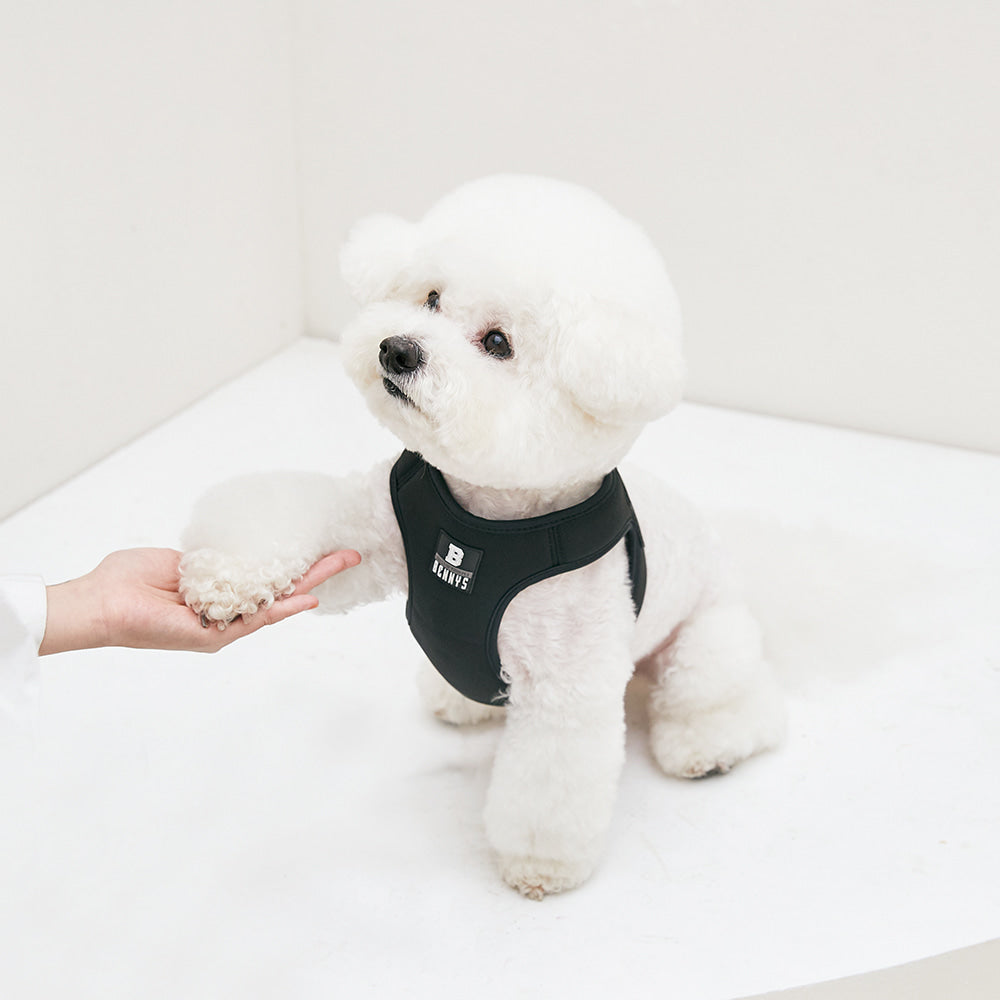 BASIC HARNESS (BLACK)