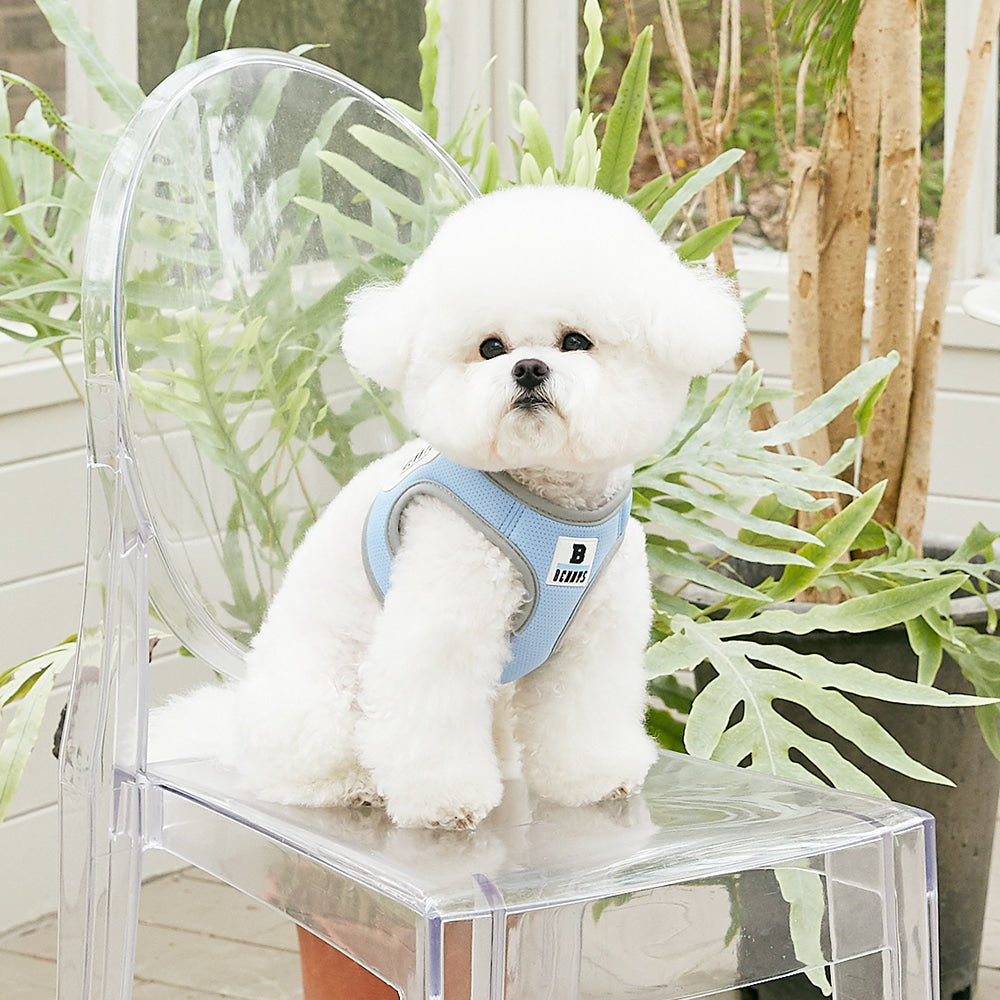 BASIC HARNESS (SKYBLUE)