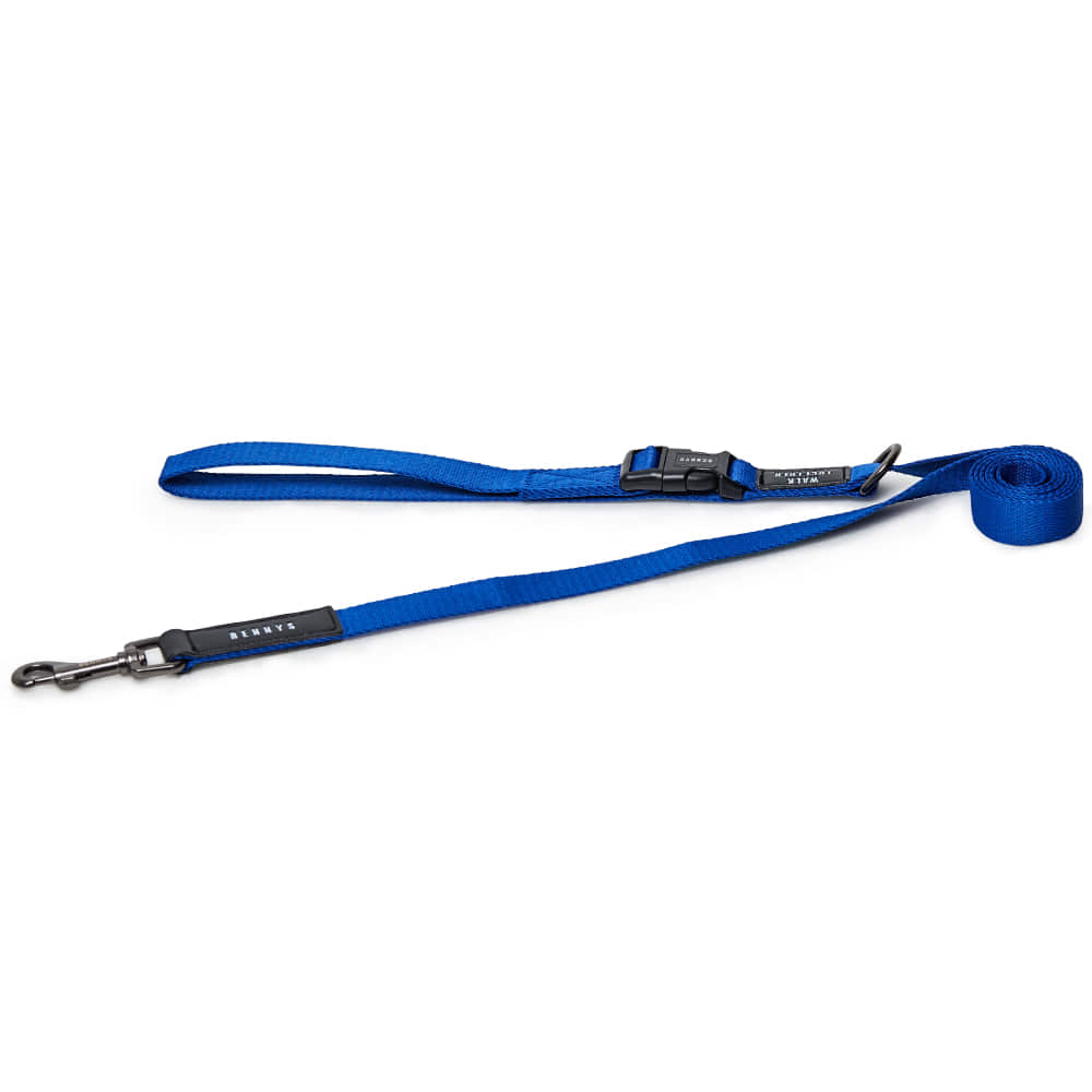 BASIC LEASH (BLUE)