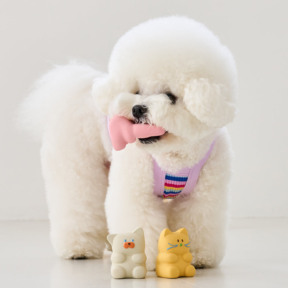 ANIMAL JELLO LATEX TOY (BUNNY)