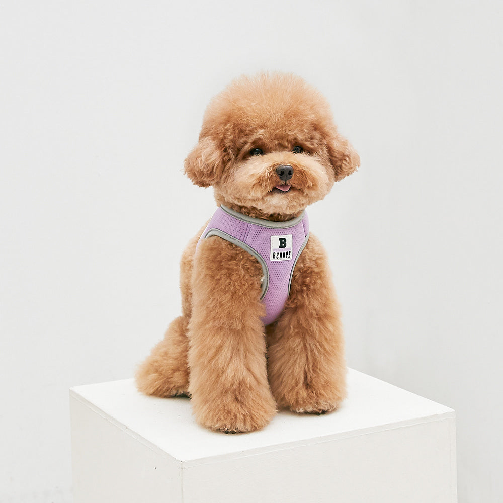 BASIC HARNESS (PURPLE)