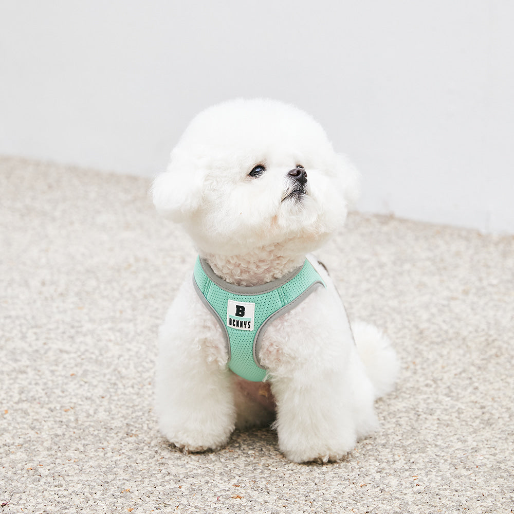 BASIC HARNESS (MINT)