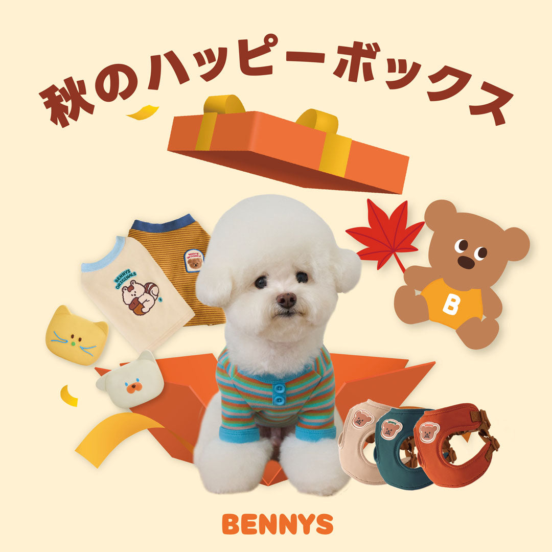 【販売開始までお待ちください⌛】秋のハッピーボックス 2026🍂
