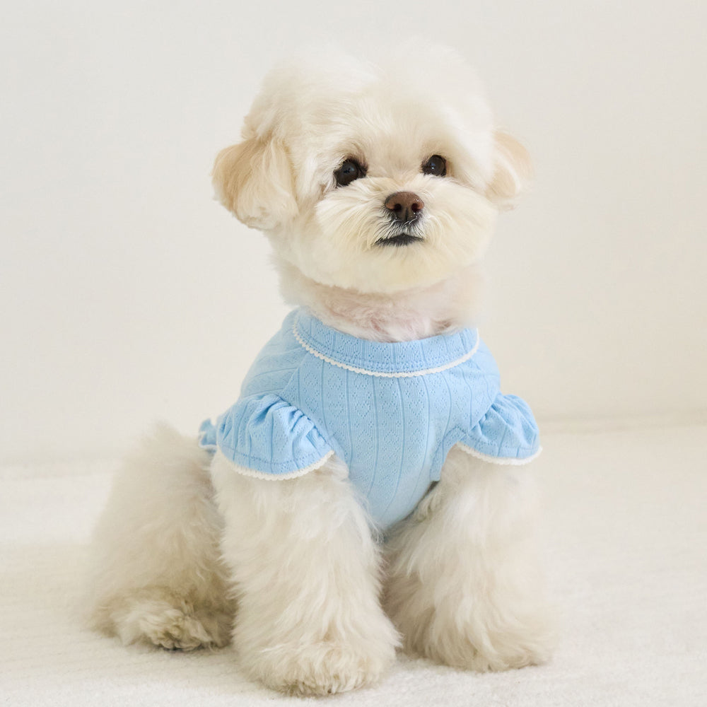 LIBERTY CROP TOP (SKYBLUE)