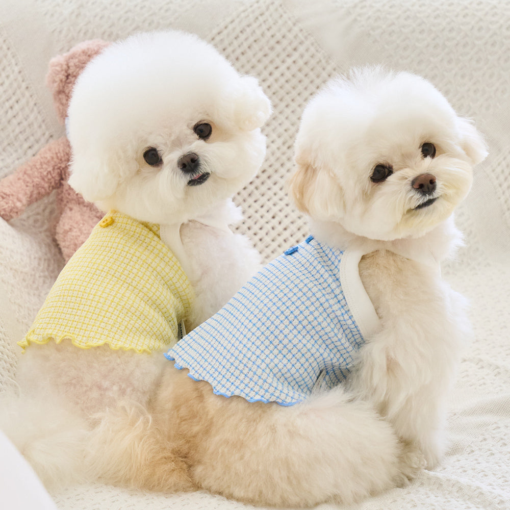 SPRING CROP TOP (BLUE)