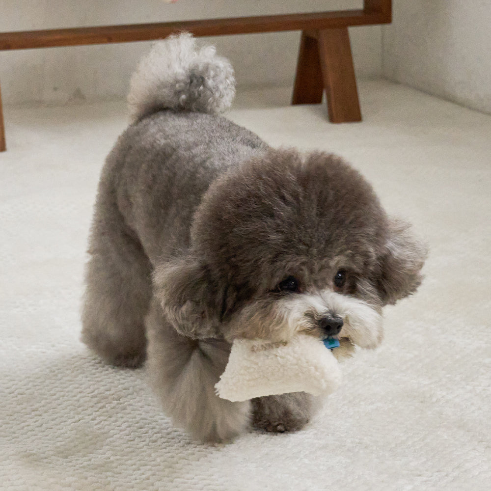 PETIT ANIMAL TOY (DOGGY)