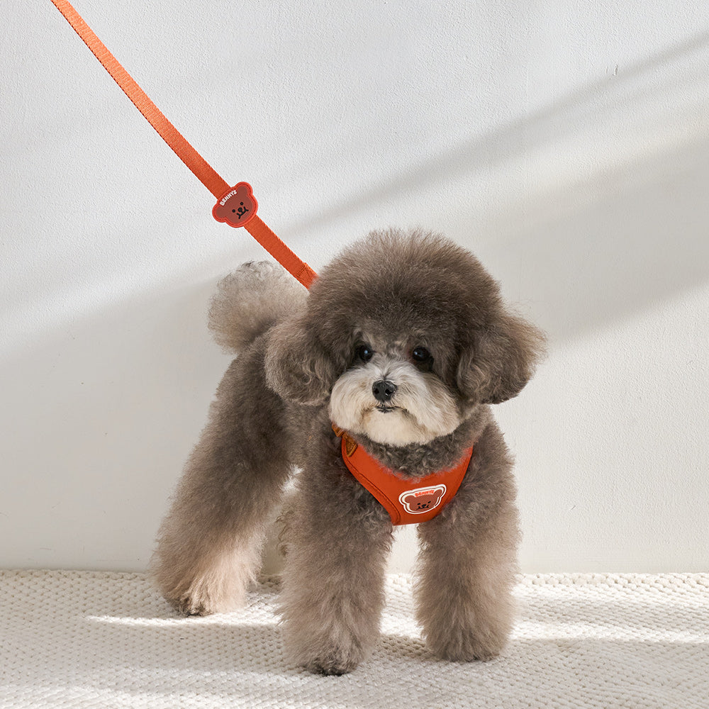 BENNYS MULTI LEASH (ORANGE)