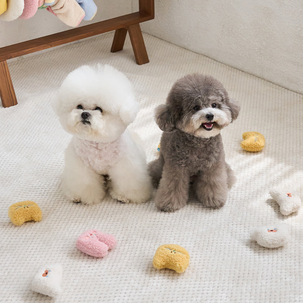 PETIT ANIMAL TOY (BUNNY)