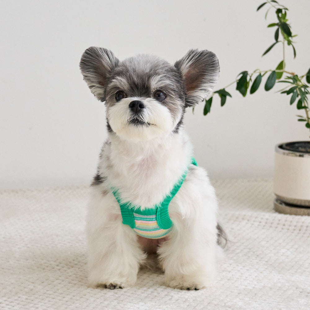 LUCKY CROP TOP (GREEN)