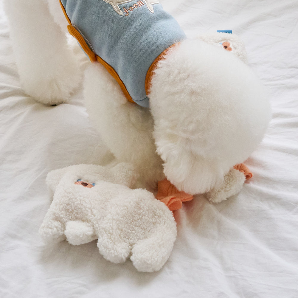 ANIMAL NOSEWORK TOY (DOGGY)