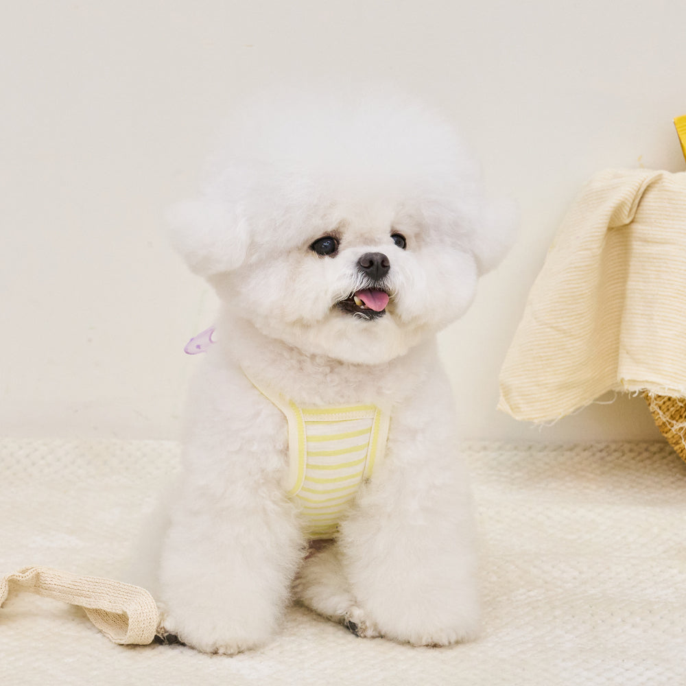 LOVELYZ RIBBON TOP (YELLOW)