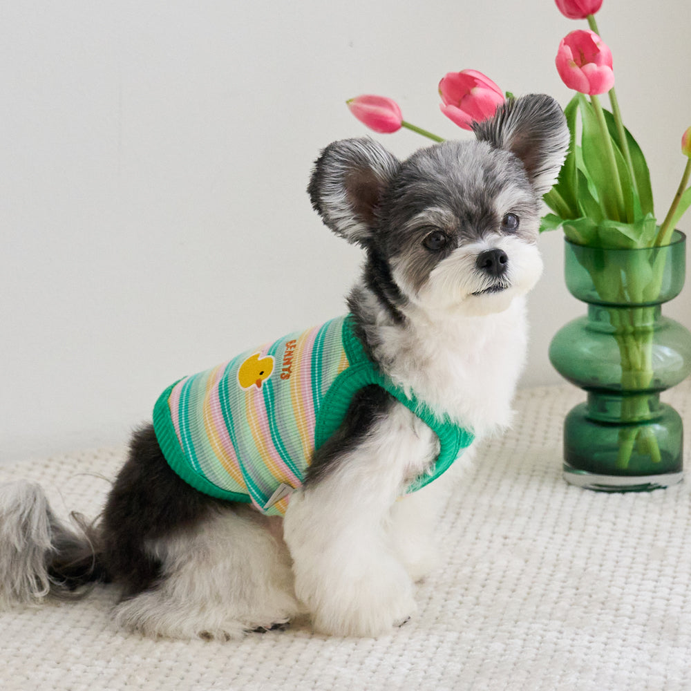 LUCKY CROP TOP (GREEN)