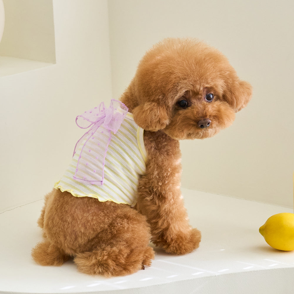 LOVELYZ RIBBON TOP (YELLOW)