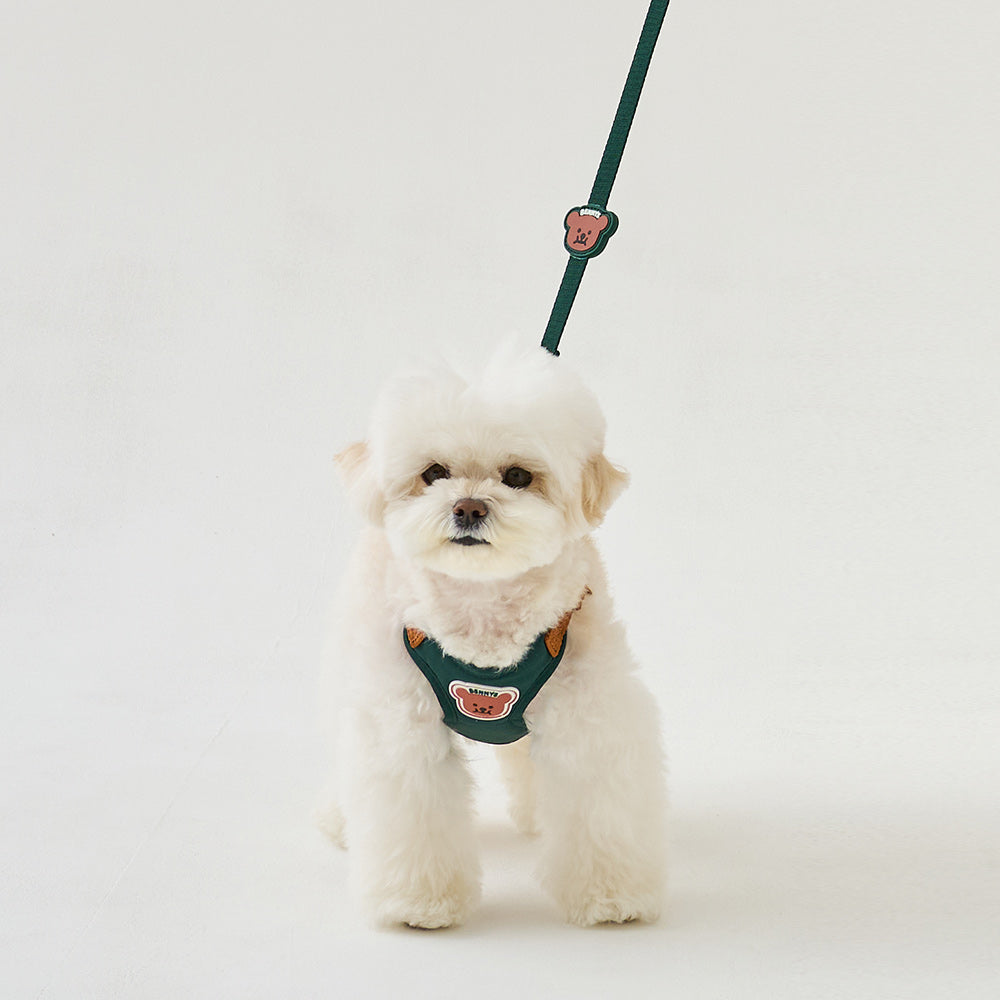 BENNYS MULTI LEASH (GREEN)
