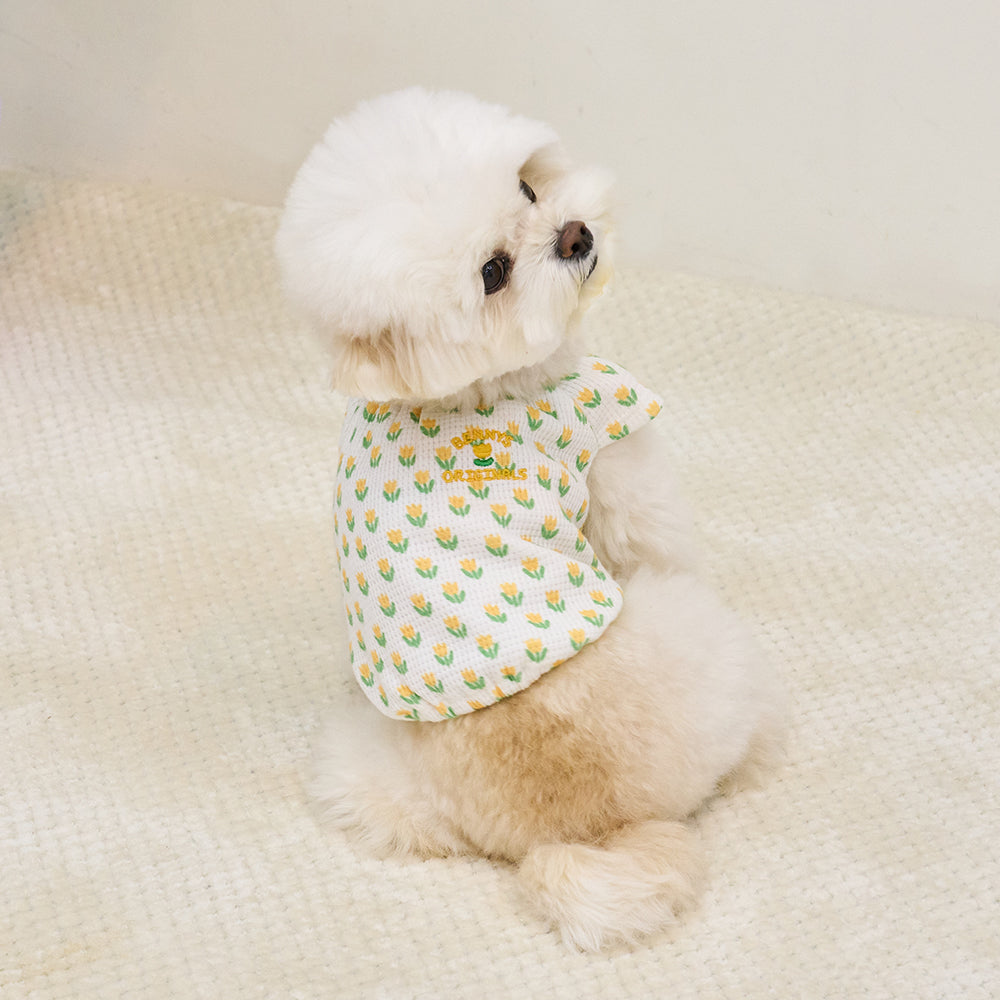 TULIP CROP T-SHIRT (YELLOW)