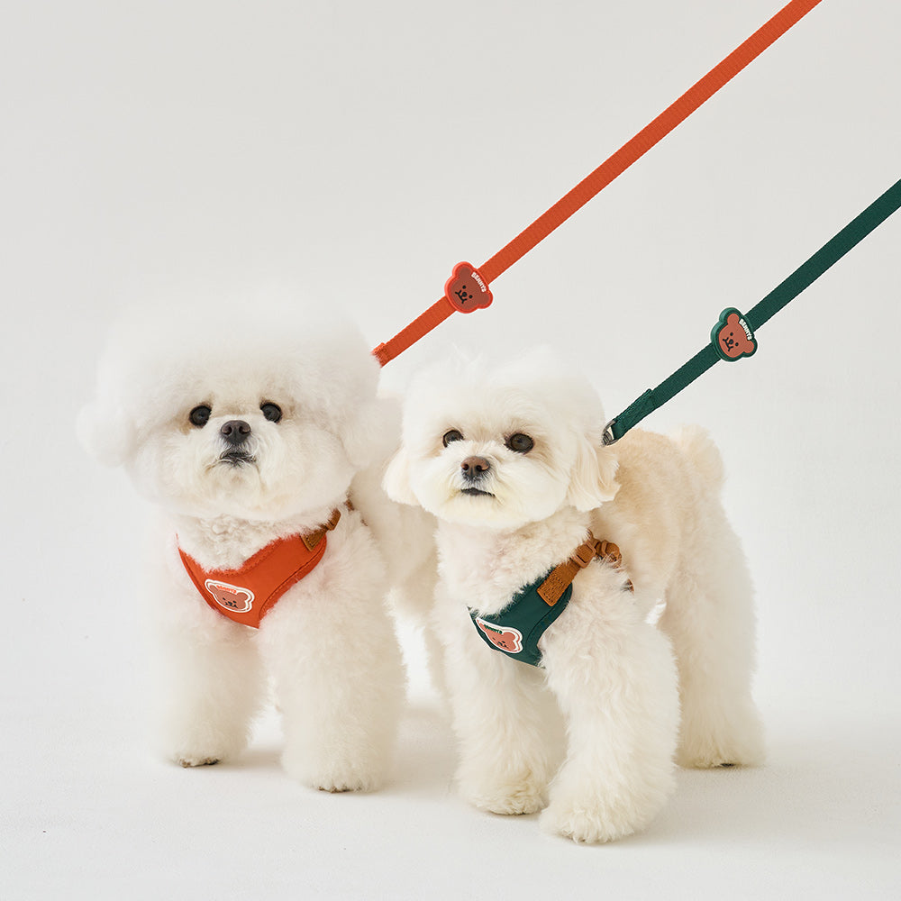 BENNYS MULTI LEASH (GREEN)