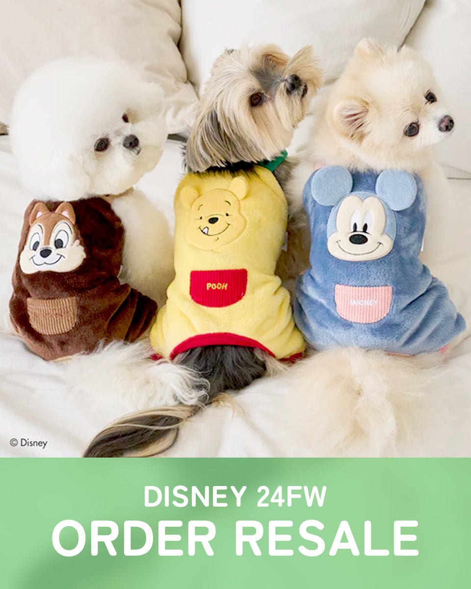 ディスニー秋冬コレクション再販