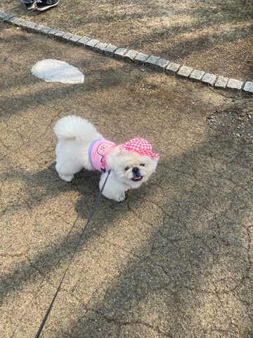 【レビュー01】