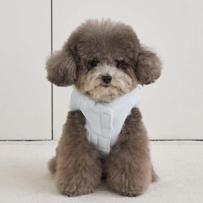 ポメロ ダウン (スカイブルー)