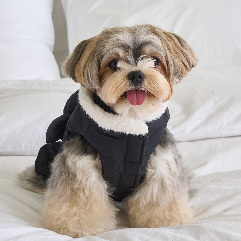 グレース ダウンジャケット (ブラック)