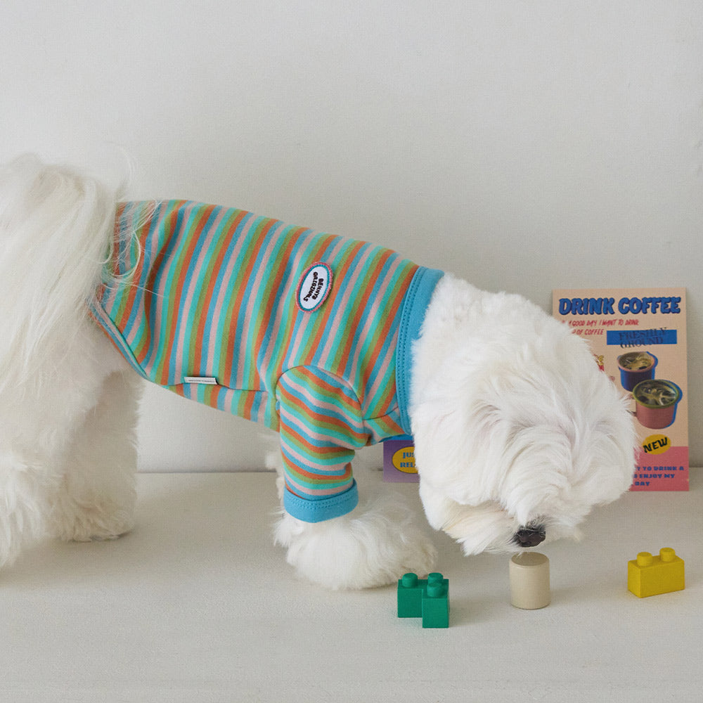 モデスト Tシャツ (スカイブルー)