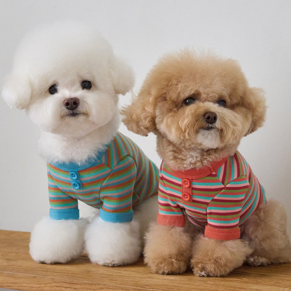 モデスト Tシャツ (スカイブルー)