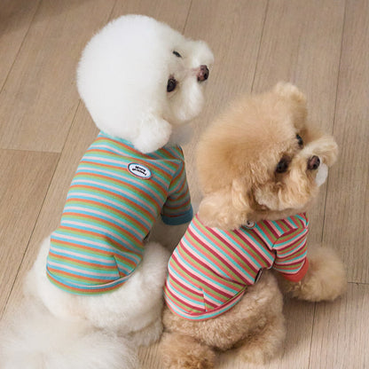 モデスト Tシャツ (スカイブルー)