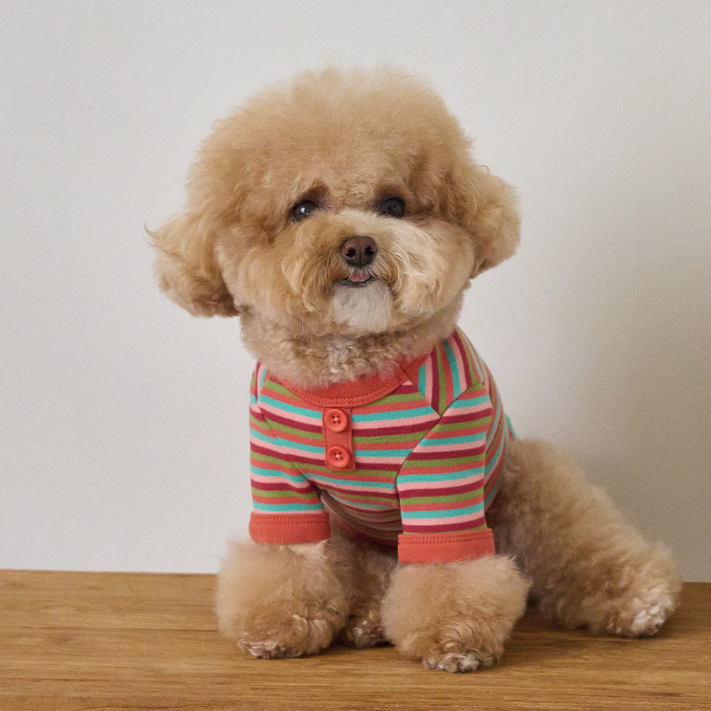 モデスト Tシャツ (オレンジ)