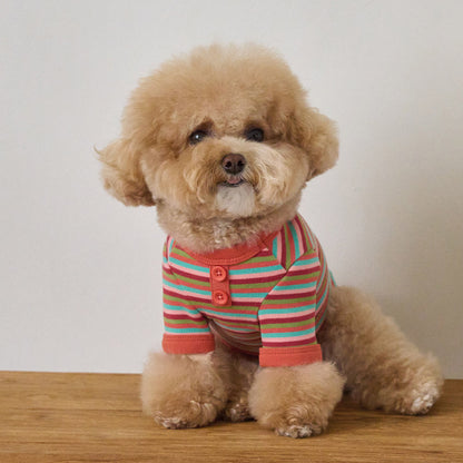 モデスト Tシャツ (オレンジ)