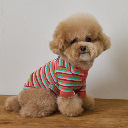 モデスト Tシャツ (オレンジ)