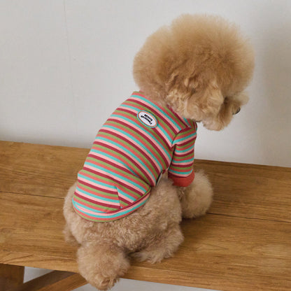 モデスト Tシャツ (オレンジ)