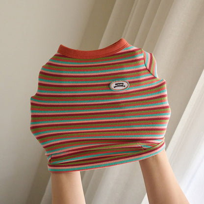 モデスト Tシャツ (オレンジ)