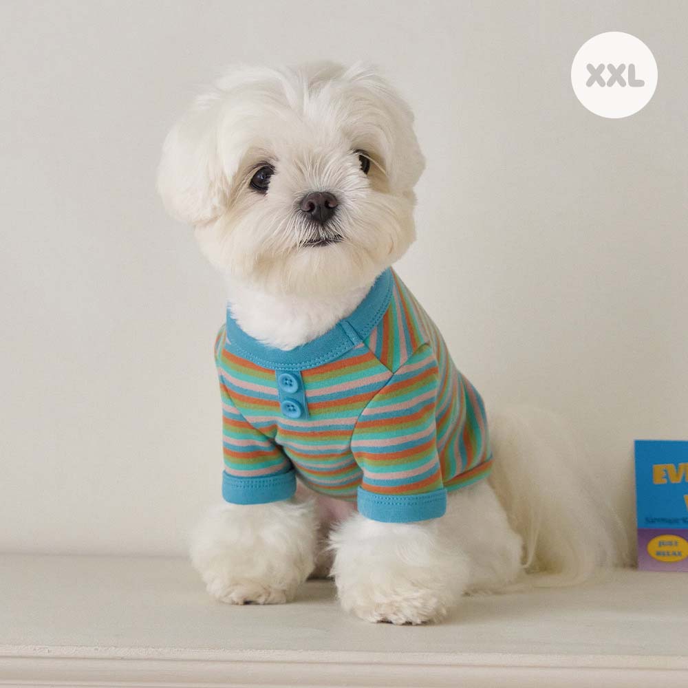 モデスト Tシャツ (スカイブルー)