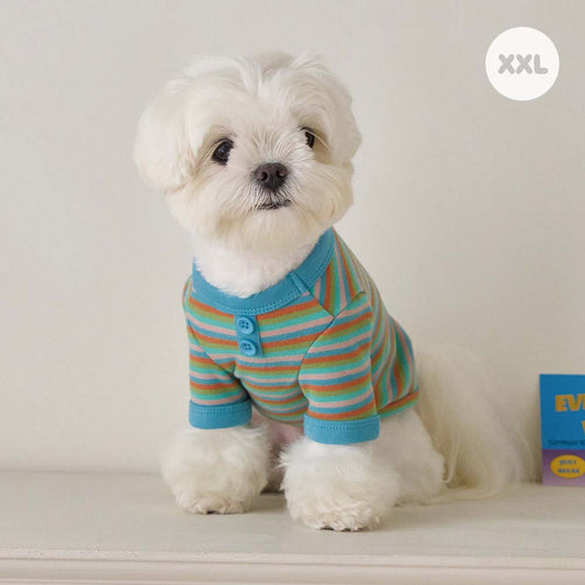 モデスト Tシャツ (スカイブルー)