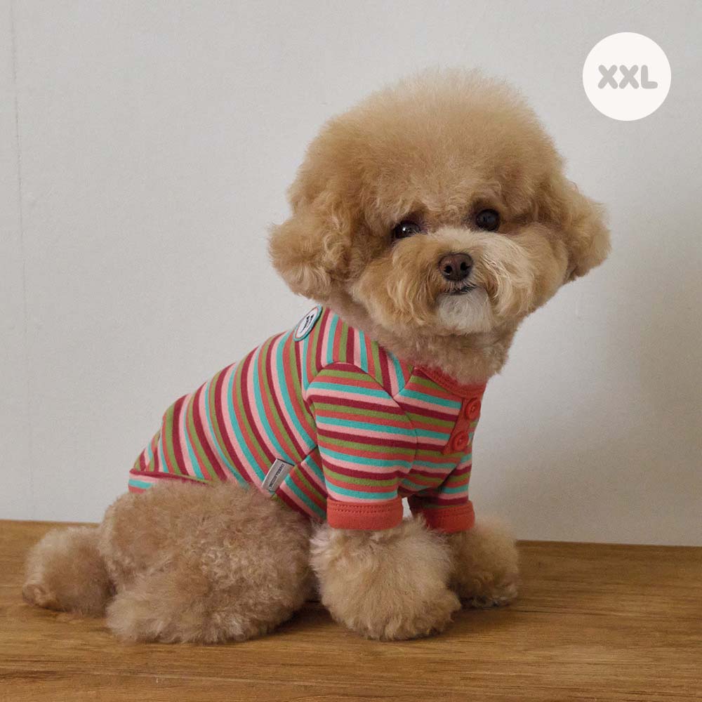 モデスト Tシャツ (オレンジ)