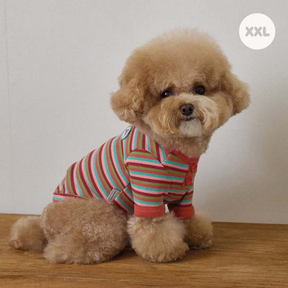 モデスト Tシャツ (オレンジ)