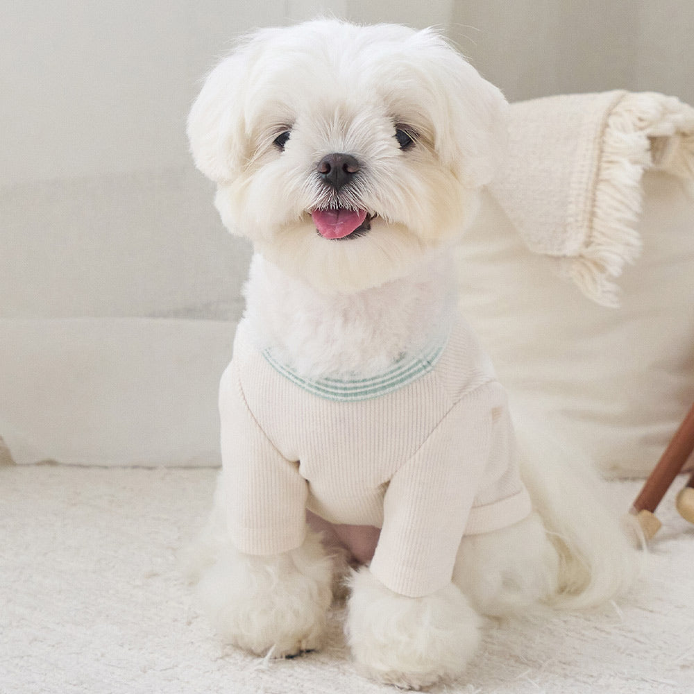 メレンゲ Tシャツ (アイボリー)