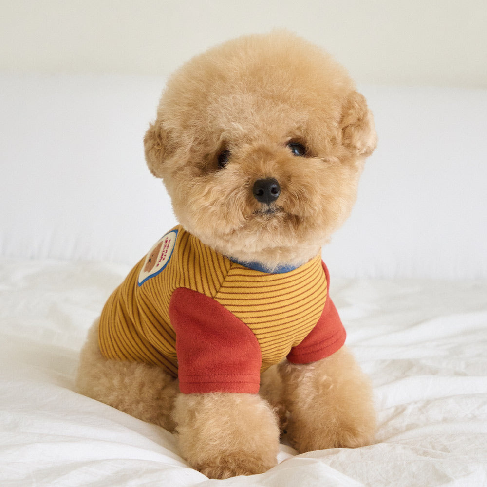 ウィグリー Tシャツ (イエロー)