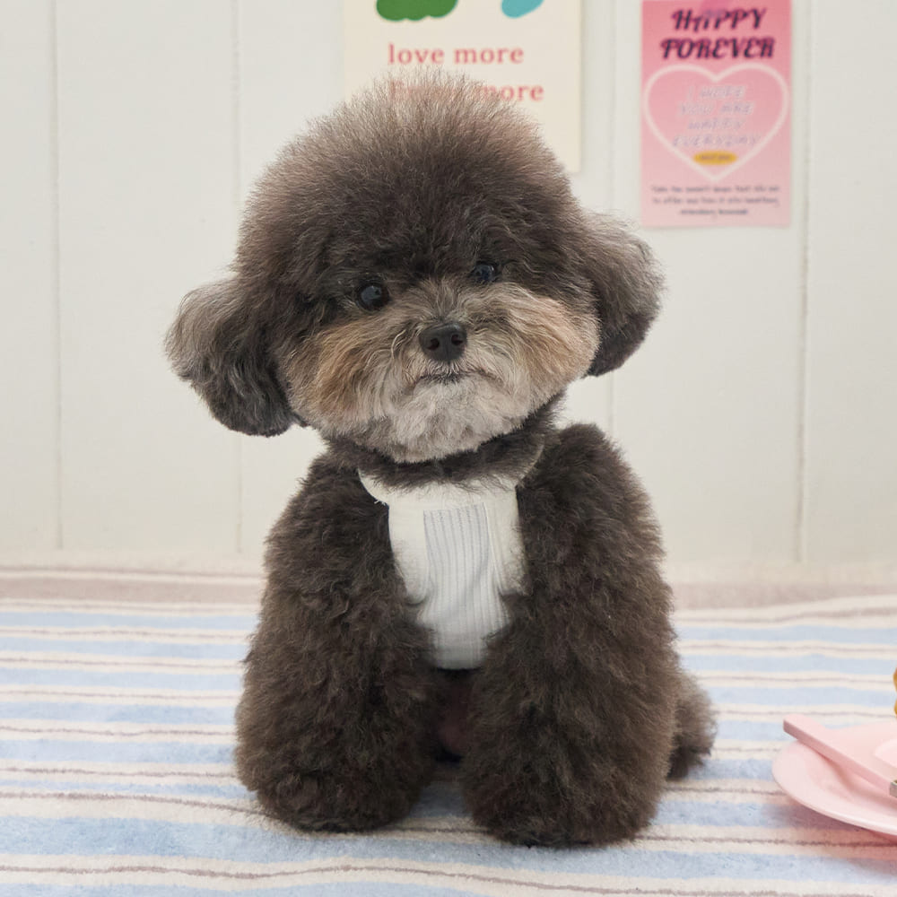 レモナ ワンピース (ホワイト)