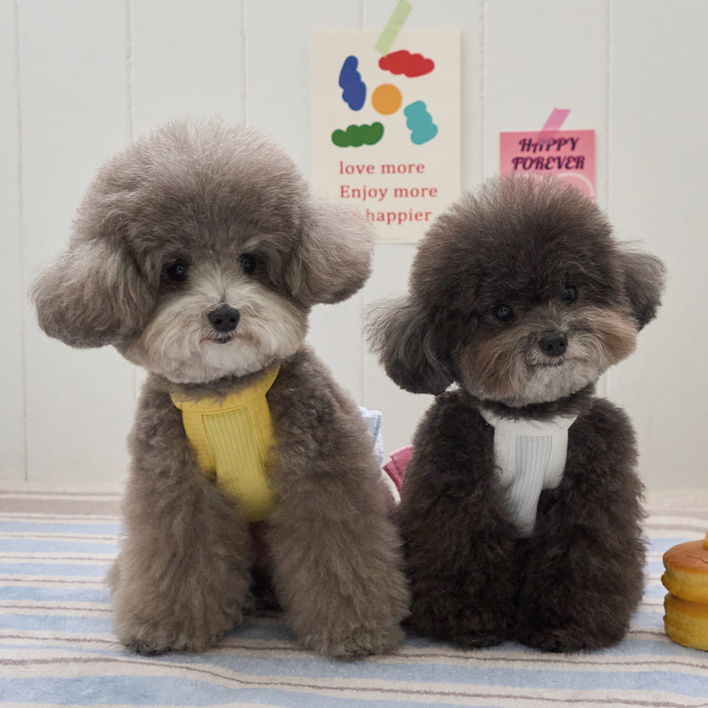 レモナ ワンピース (イエロー)