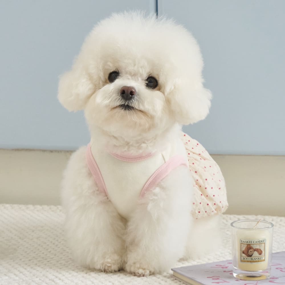 ベネット バルーン トップ (アイボリー)