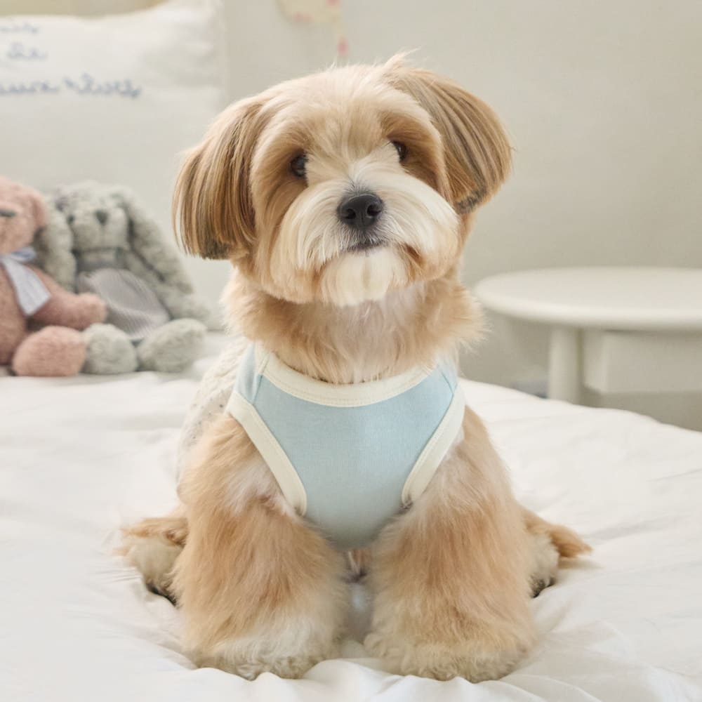 ベネット バルーンワンピース (スカイブルー)