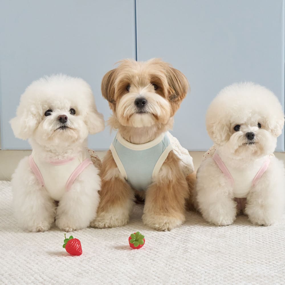 ベネット バルーンワンピース (スカイブルー)