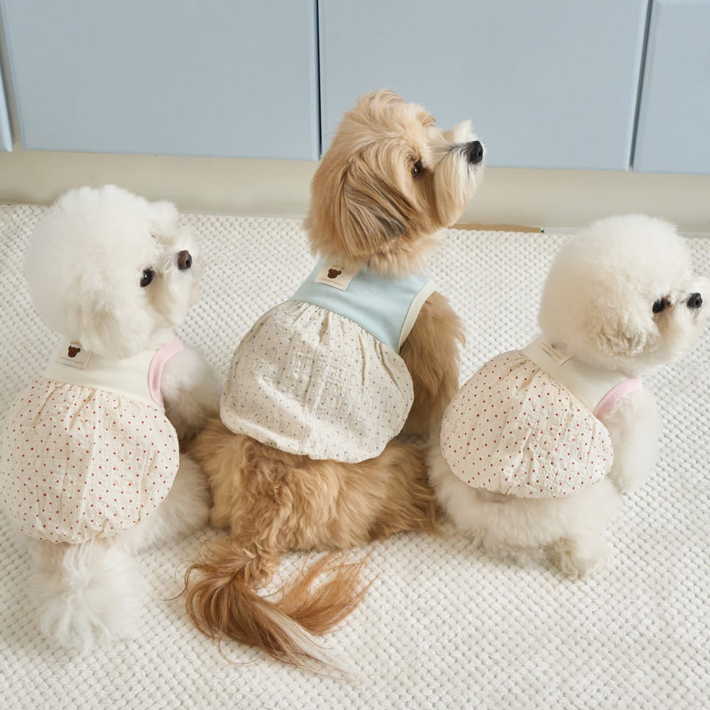 ベネット バルーン トップ (アイボリー)