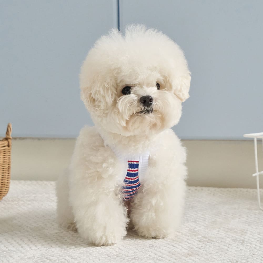 ロリポップ クロップトップ (ブルー)