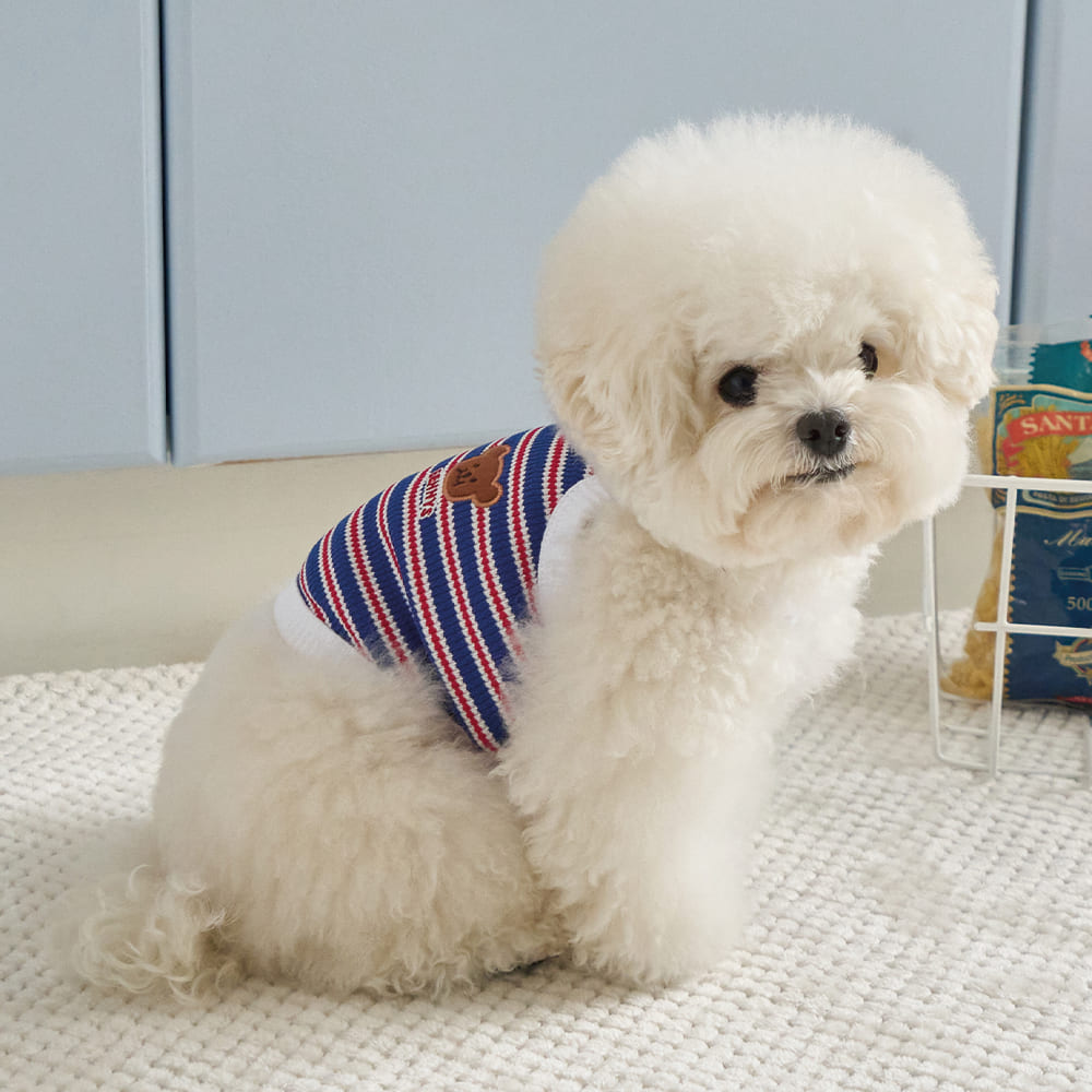 ロリポップ クロップトップ (ブルー)