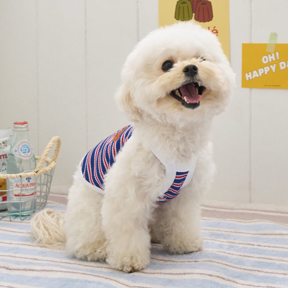 ロリポップ クロップトップ (ブルー)