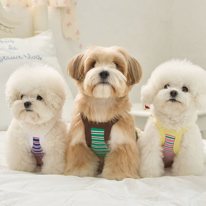 ロリポップ クロップトップ (ブルー)